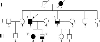 Cerebellar Atrophy and Changes in Cytokines Associated with the CACNA1A R583Q Mutation in a Russian Familial Hemiplegic Migraine Type 1 Family